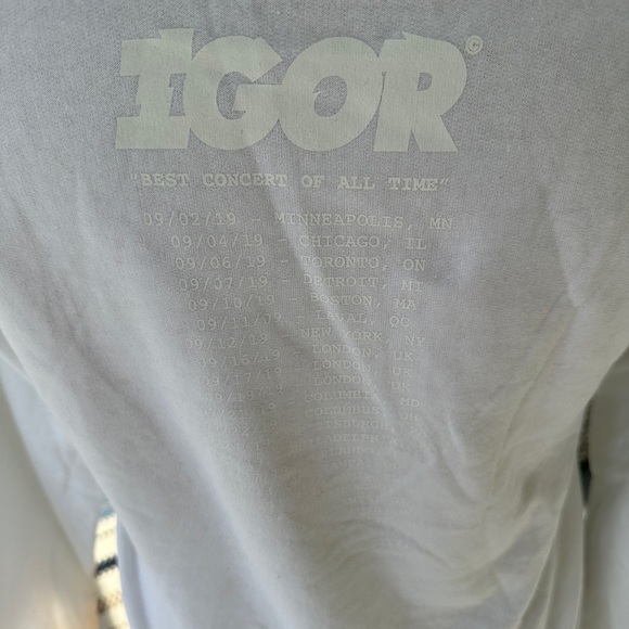 New Golf Wang Tyler the Creator Hoodie Sweatshirt , Unisex, Small , IGOR - Picture 3 of 6